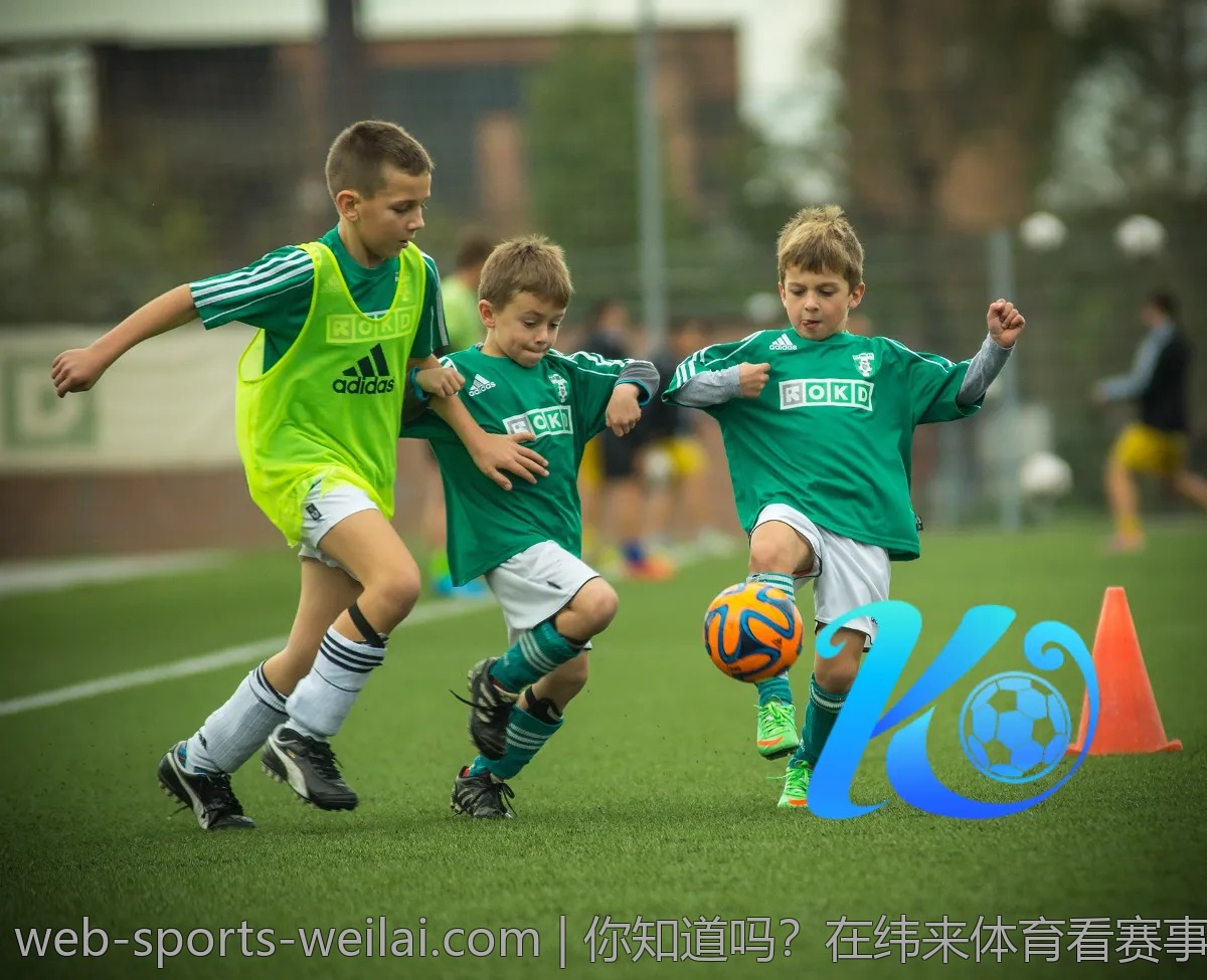 你知道吗？在纬来体育看赛事可以享受这些福利