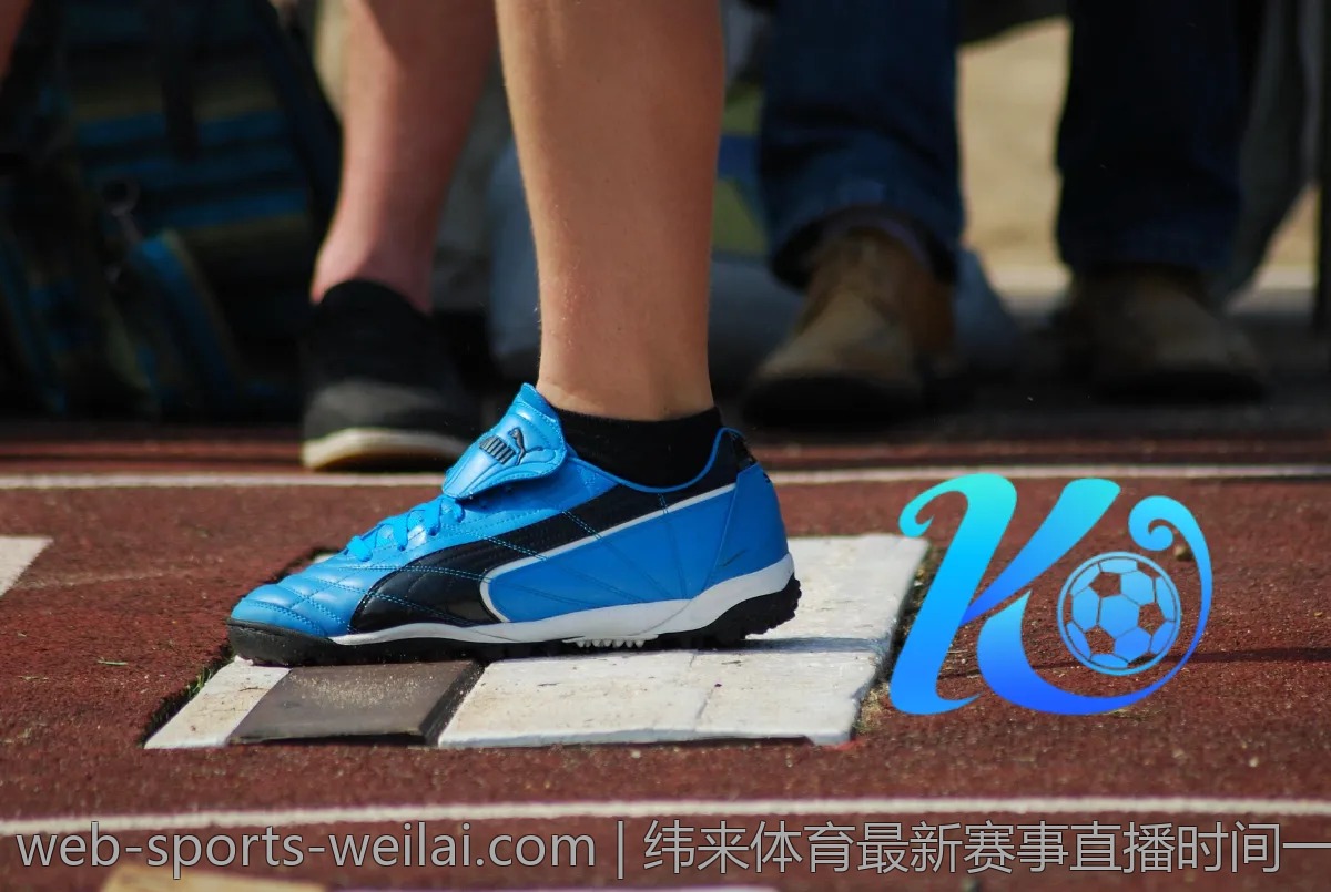 热议：纬来体育与其他直播平台的优缺点对比