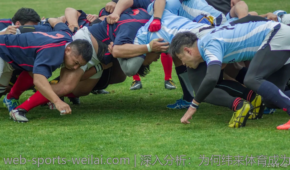 深入分析：为何纬来体育成为热点探讨对象？