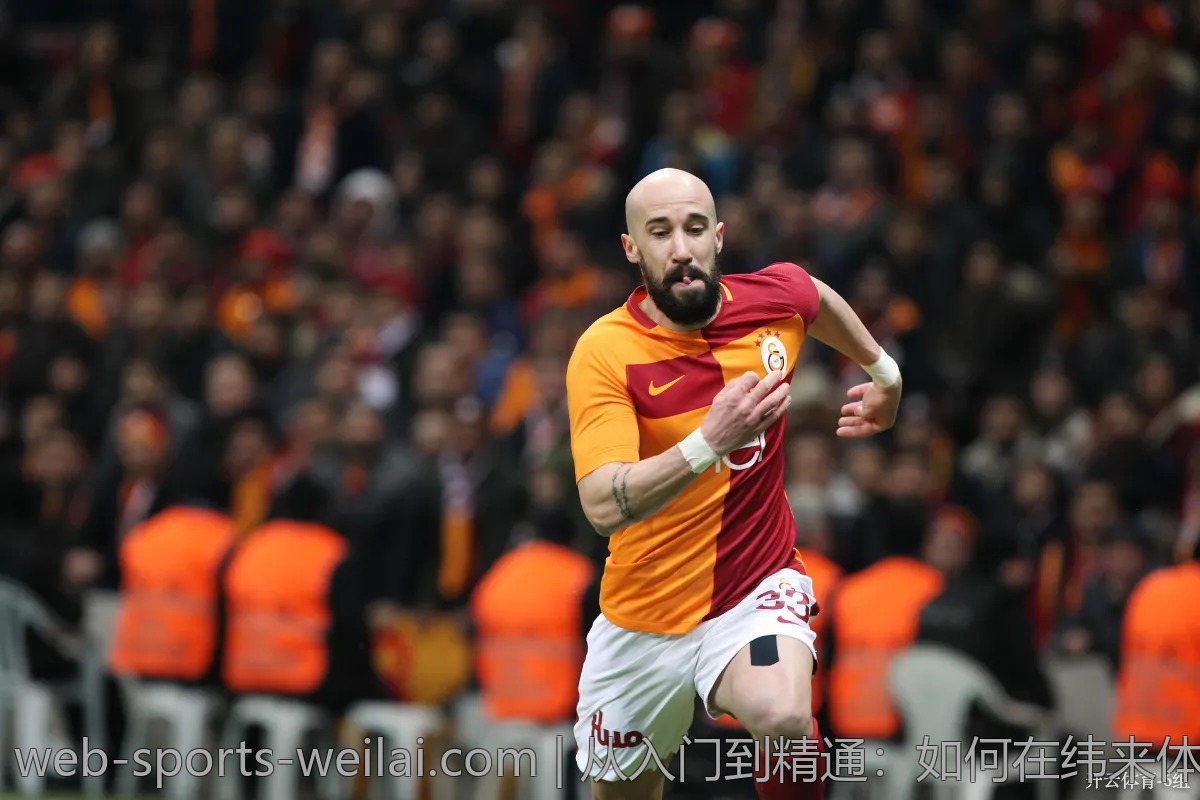 从入门到精通：如何在纬来体育找到自己喜欢的赛事