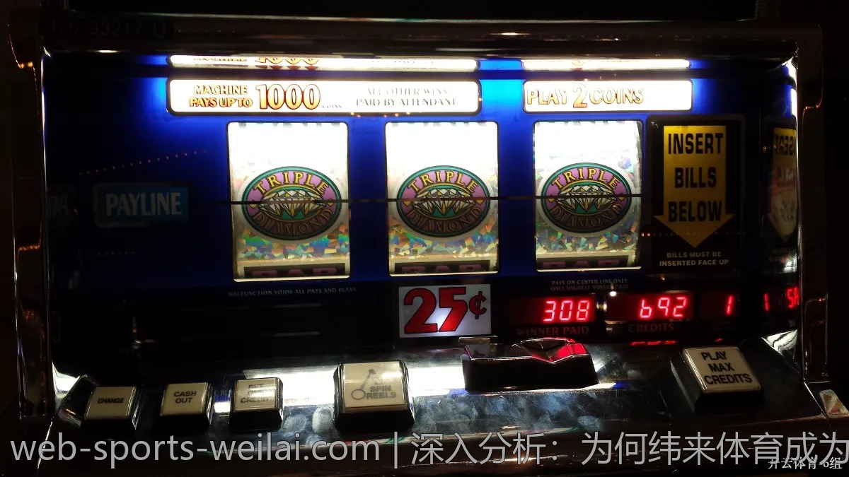深入分析：为何纬来体育成为热点探讨对象？