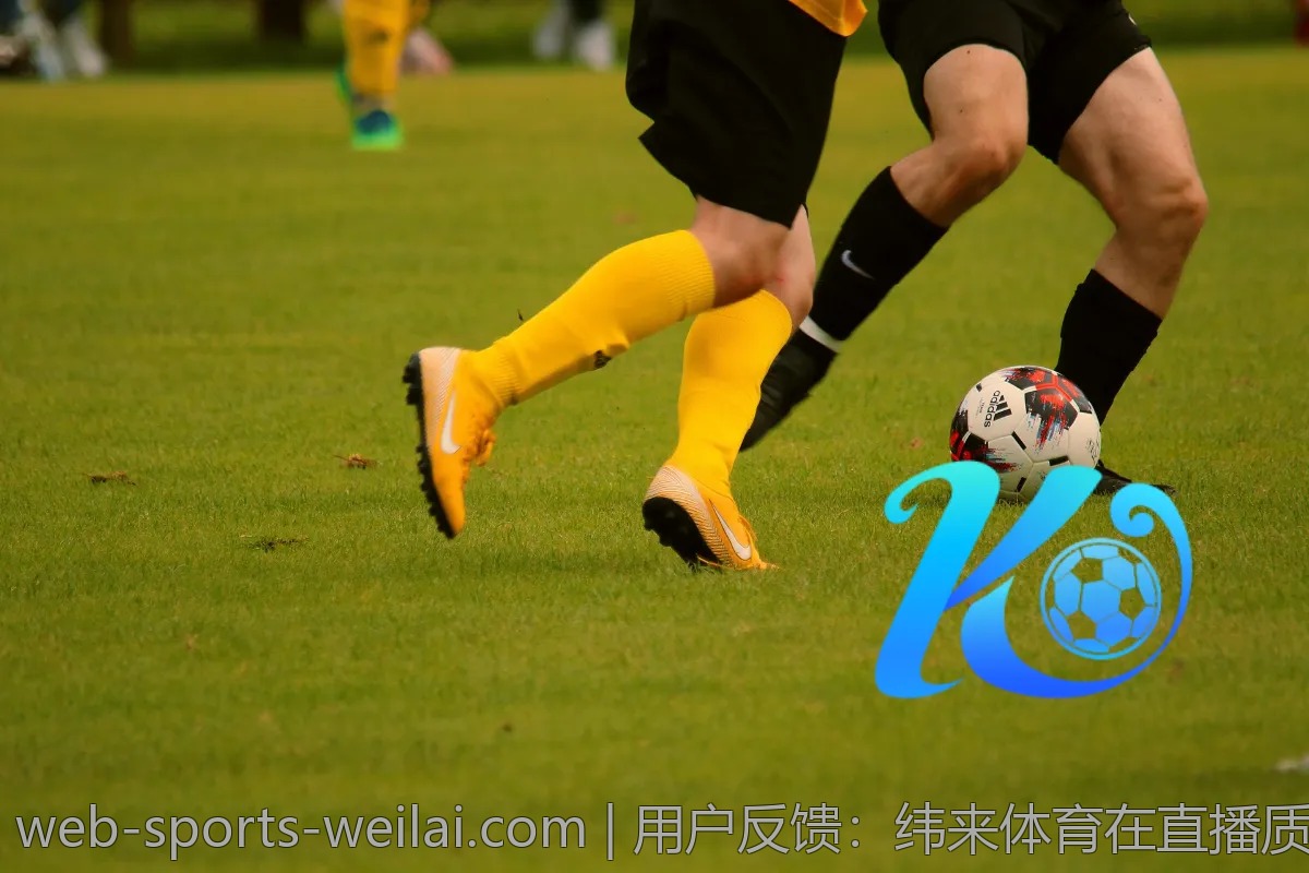 深入分析：为何纬来体育成为热点探讨对象？