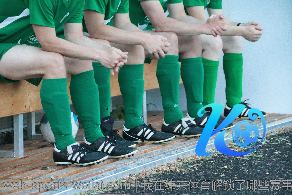 我在纬来体育解锁了哪些赛事信息和技巧？