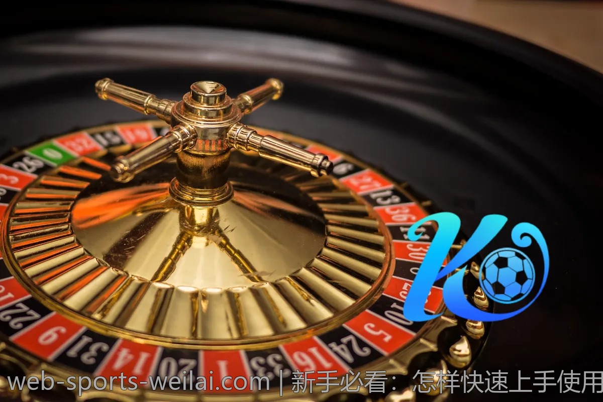 新手必看：怎样快速上手使用纬来体育平台？